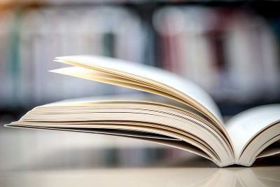 wissenschaftliche Publikation